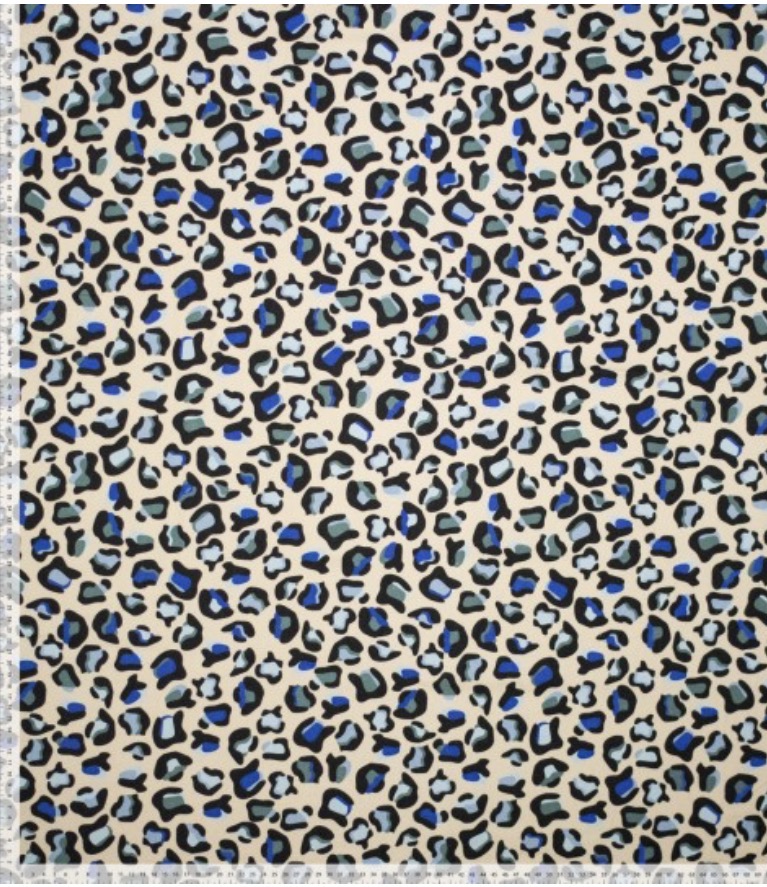 Canvas Leo